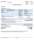 Magnesium Glycinate Small Capsules - 90 Capsules, Easy to Swallow, Albion TRAACS® Magnesium Bisglycinate Chelate - Kosher