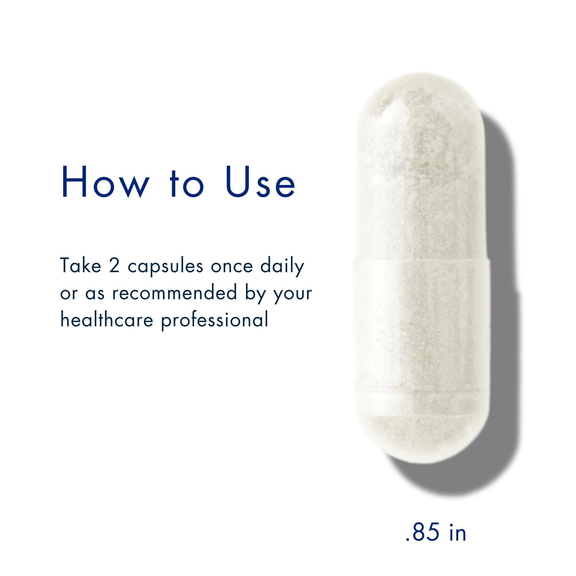 Potent Nutri Sucrosomial Magnesium — 300 mg High Absorption Magnesium Supplement (60 Vegan Capsules)