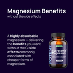 Sucrosomial Magnesium