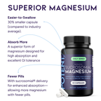 Potent Nutri Sucrosomial Magnesium — 245 mg High Absorption Magnesium Supplement (60 Vegan Capsules)