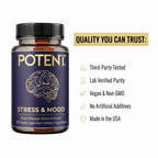 Stress & Mood Support Supplement - 60 Capsules